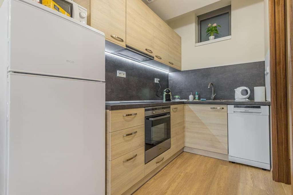 Appartement Flat With Bathtub & Balcony, Only 12min Centrum, 200mb Wifi Praag
